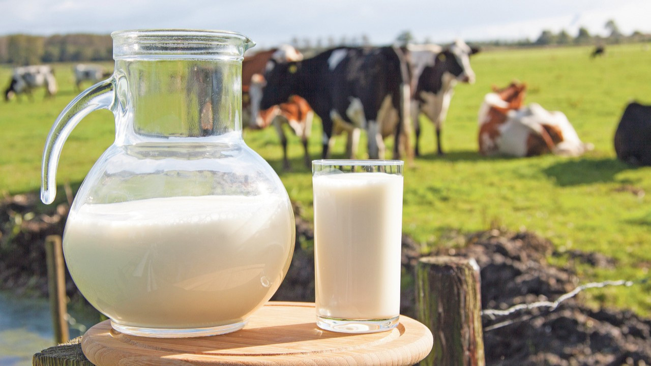 Süt ürünlerinin üretiminde sert düşüş