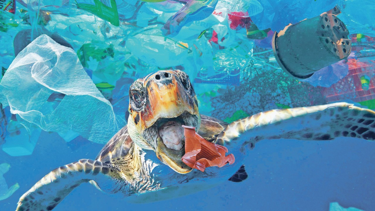 Akdeniz’e kişi başına yılda bir kg plastik karıştırıyoruz