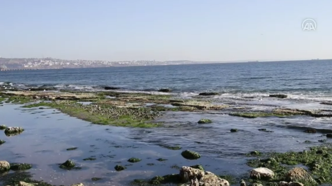 Deniz çekilmişti: Kandilli Rasathanesi'nden 'Marmara' açıklaması