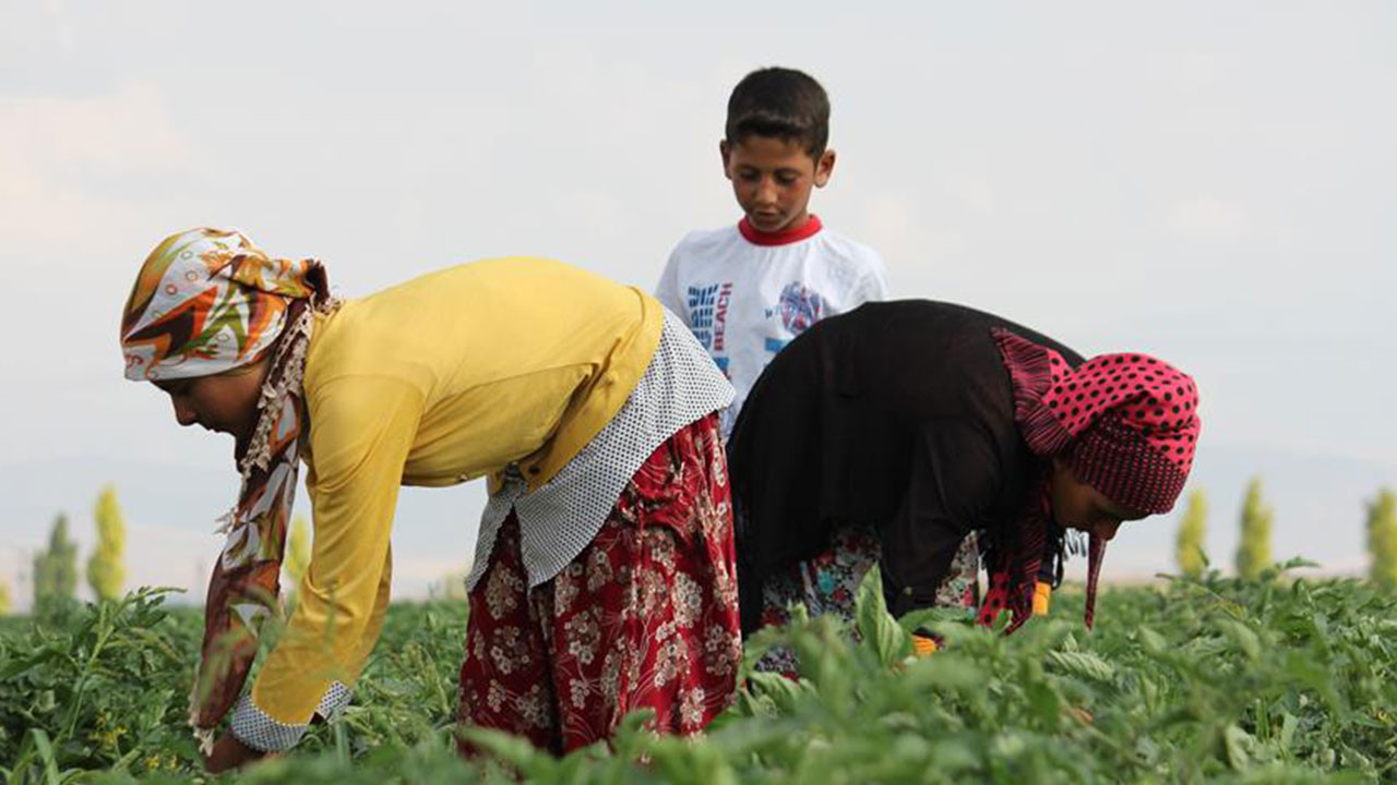 TZOB Başkanı Şemsi Bayraktar: Çiftçilerin borçları giderek artıyor