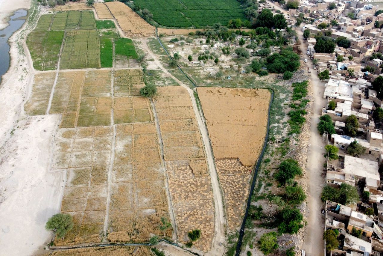 Pakistan'da buğday hasadından büyüleyen fotoğraflar - Sayfa 3