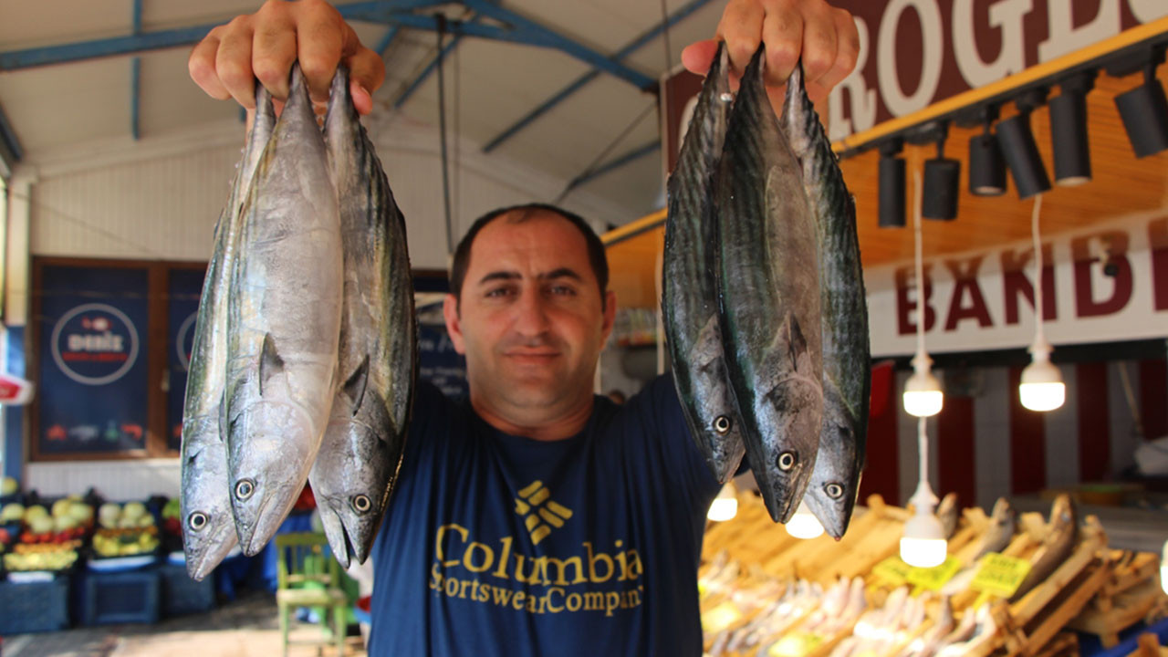 Güney Marmara'da av sezonu palamut bolluğuyla geçti