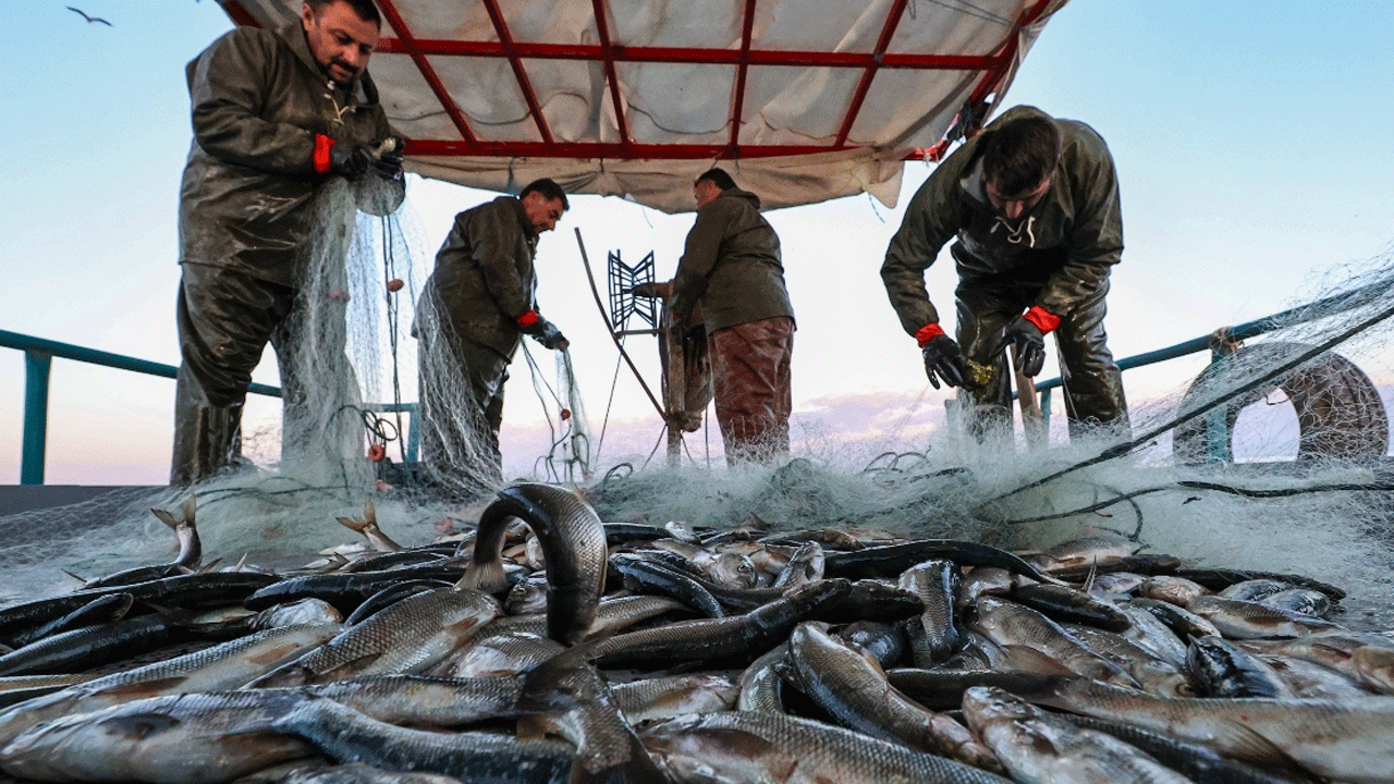 Küresel ısınma balık avcılığını olumsuz etkiliyor
