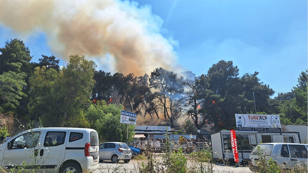 Antalya'da orman yangını çıktı: Alevler kısa sürede yayıldı