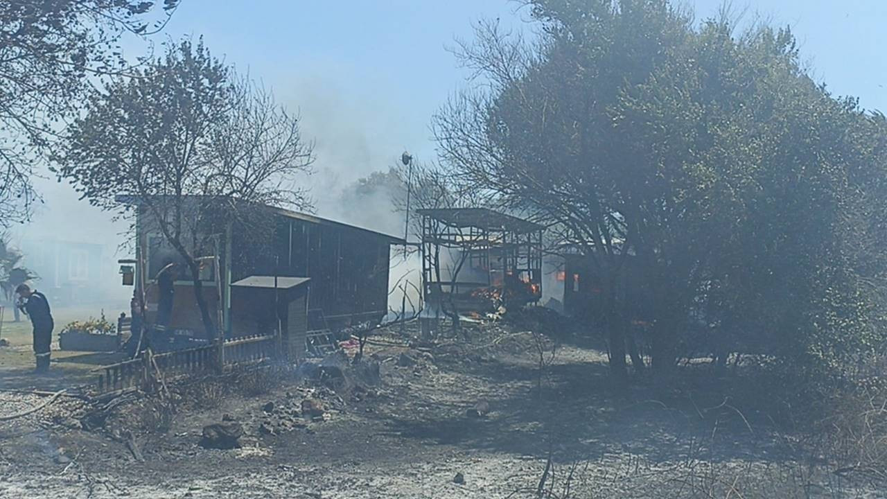 Bodrum'da orman yangını: Bazı evler zarar gördü