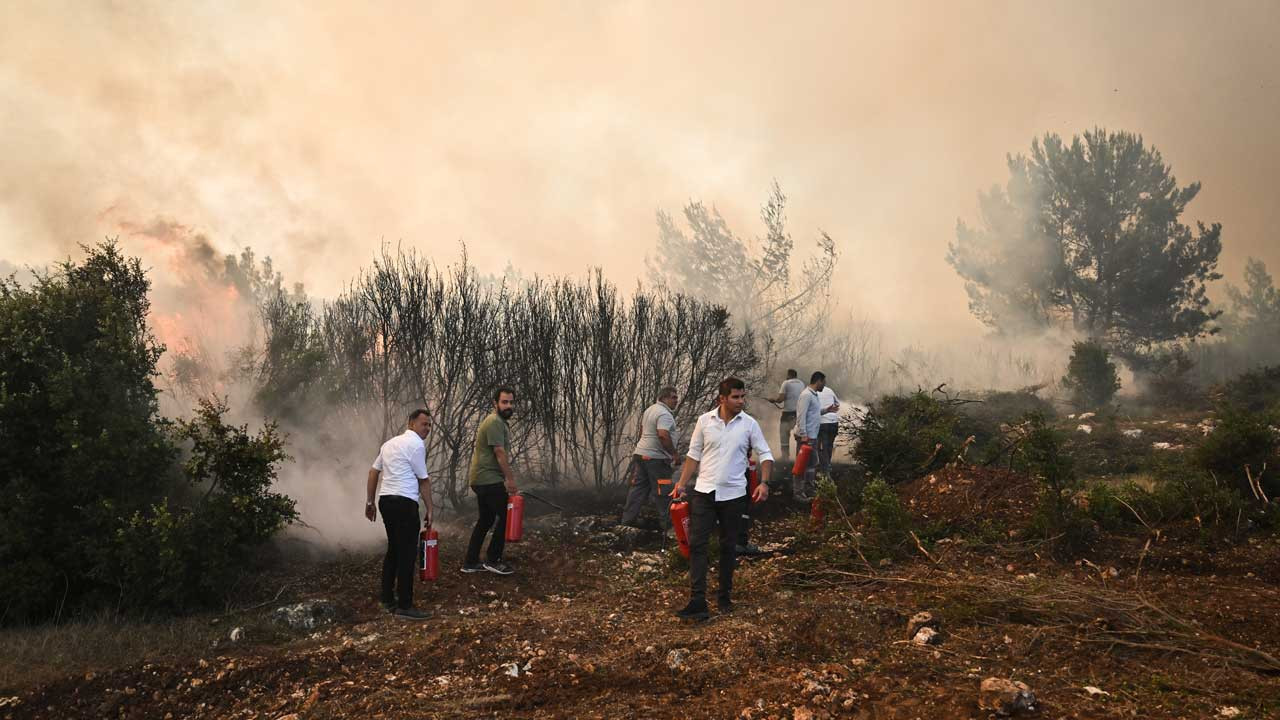 İzmir'deki orman yangınından 12 kişi etkilendi, birinin durumu ağır