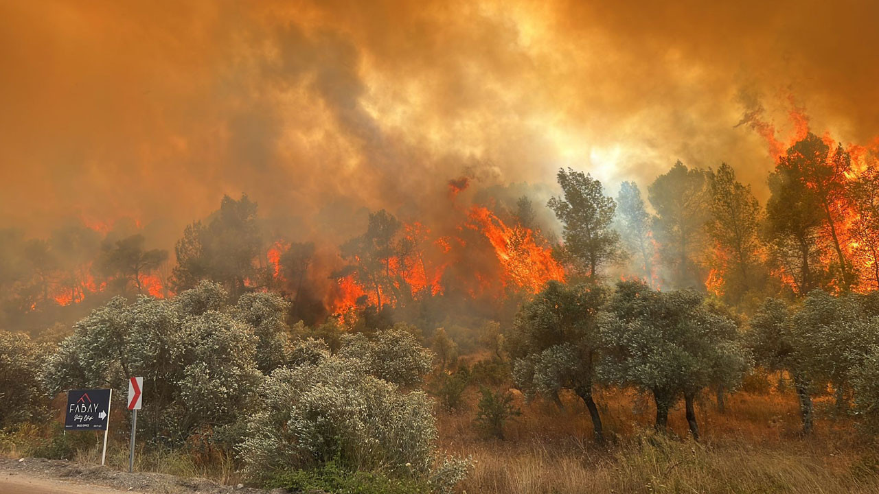 Muğla'da orman yangını: Söndürme çalışmaları sürüyor