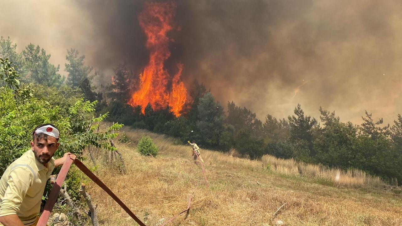 Osmaniye'de orman yangını: Evler tahliye edildi