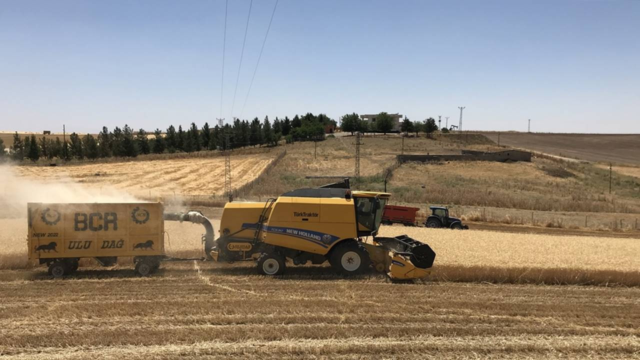 Diyarbakır'da buğday verimi çiftçiyi sevindirdi