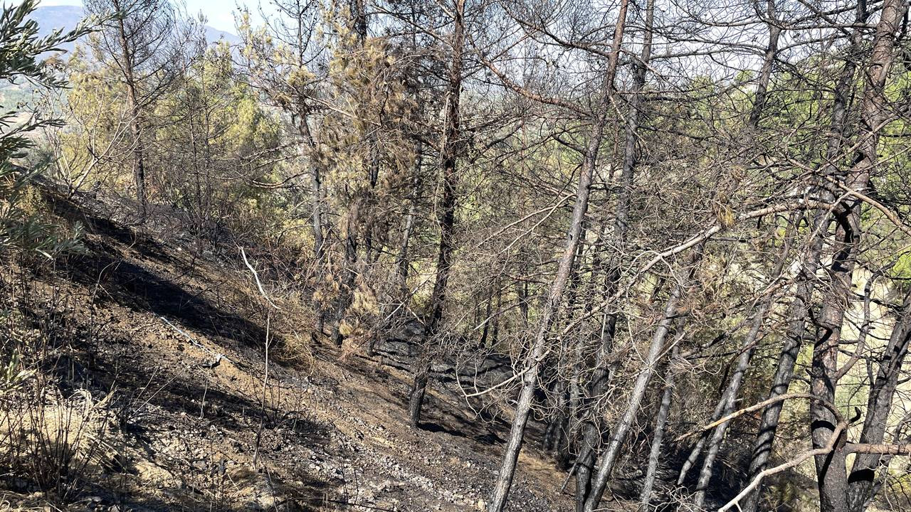 Hatay'daki orman yangınında üç tutuklama