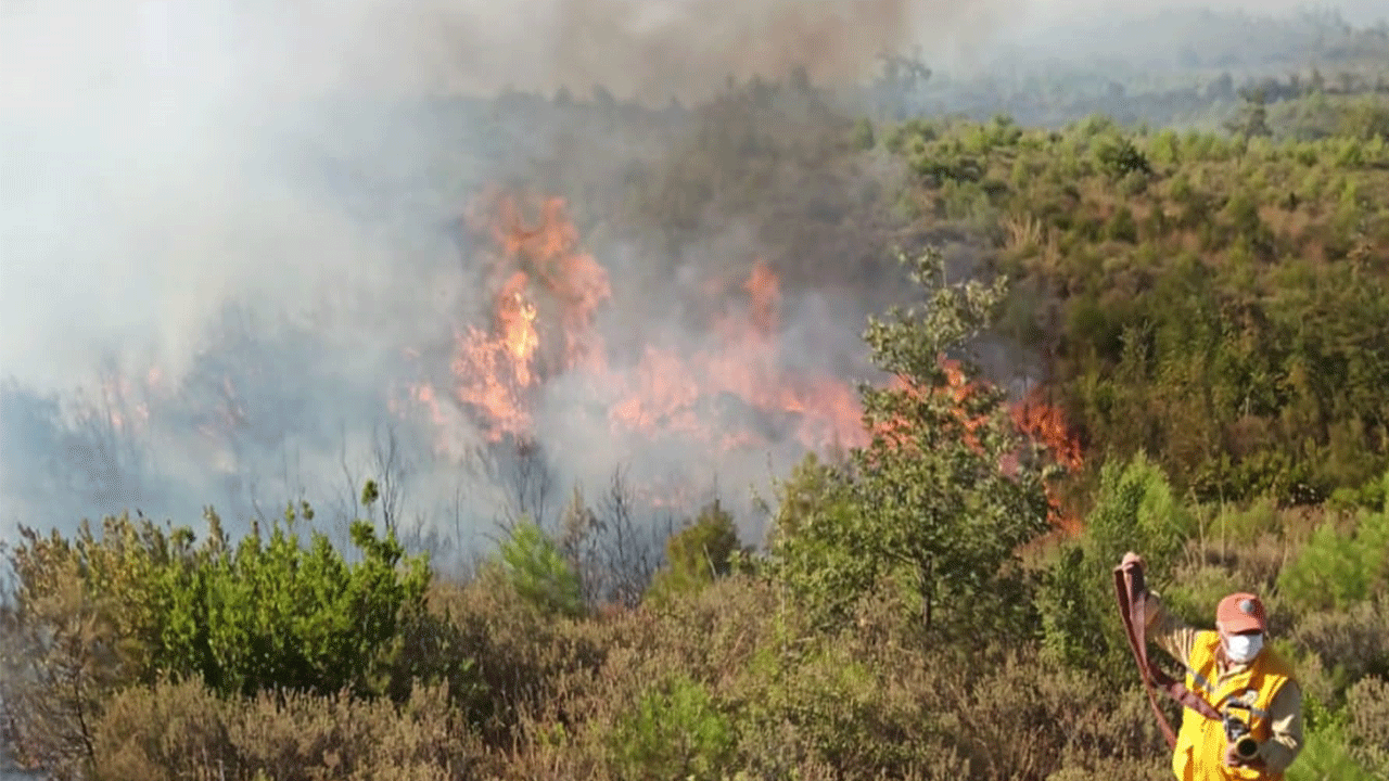 Manavgat'ta çıkan orman yangını kontrol altına alındı