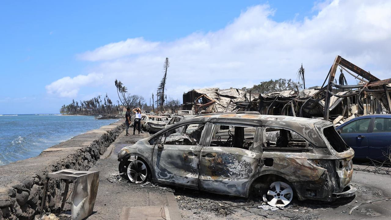 Hawaii'deki orman yangınlarında ölü sayısı 89'u buldu