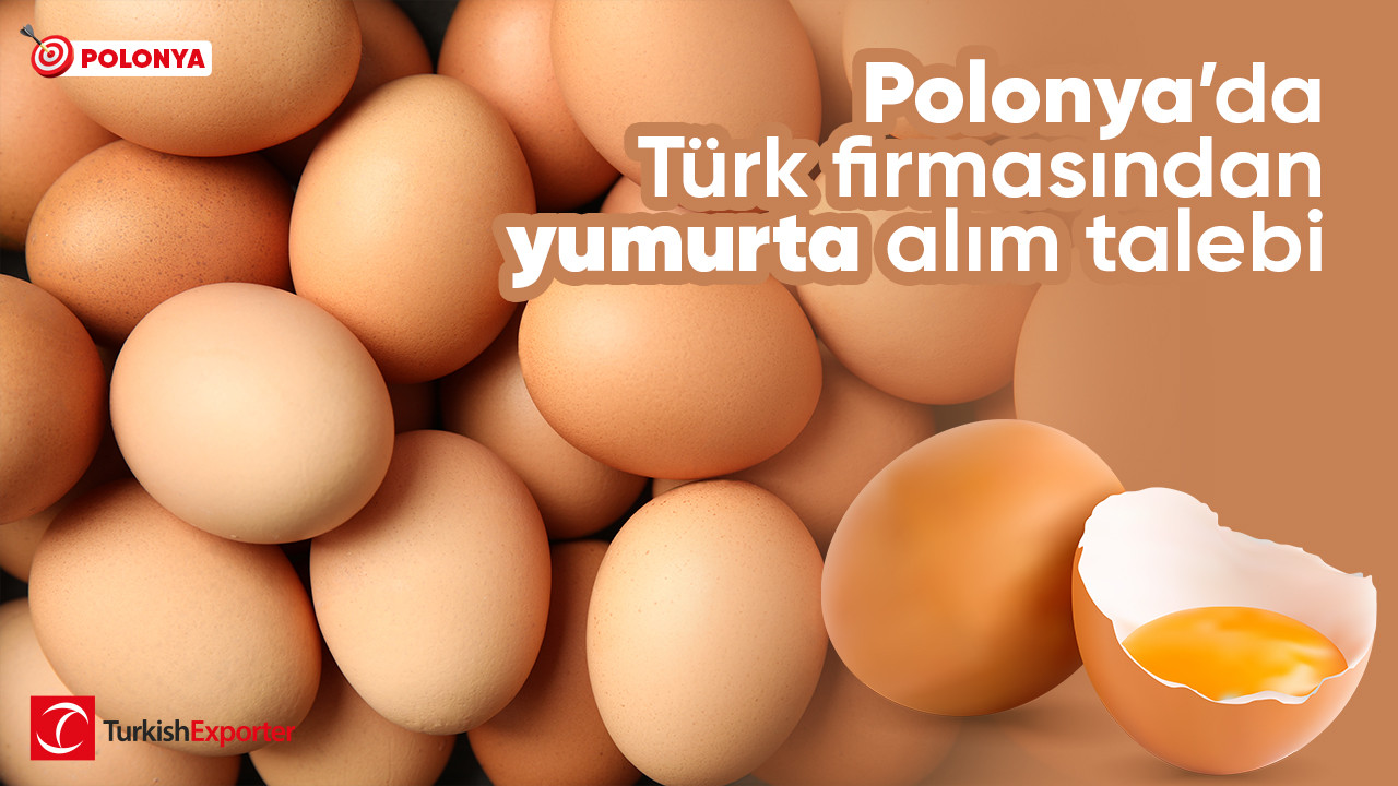 Polonya’da kurulu Türk firmasından yumurta alım talebi
