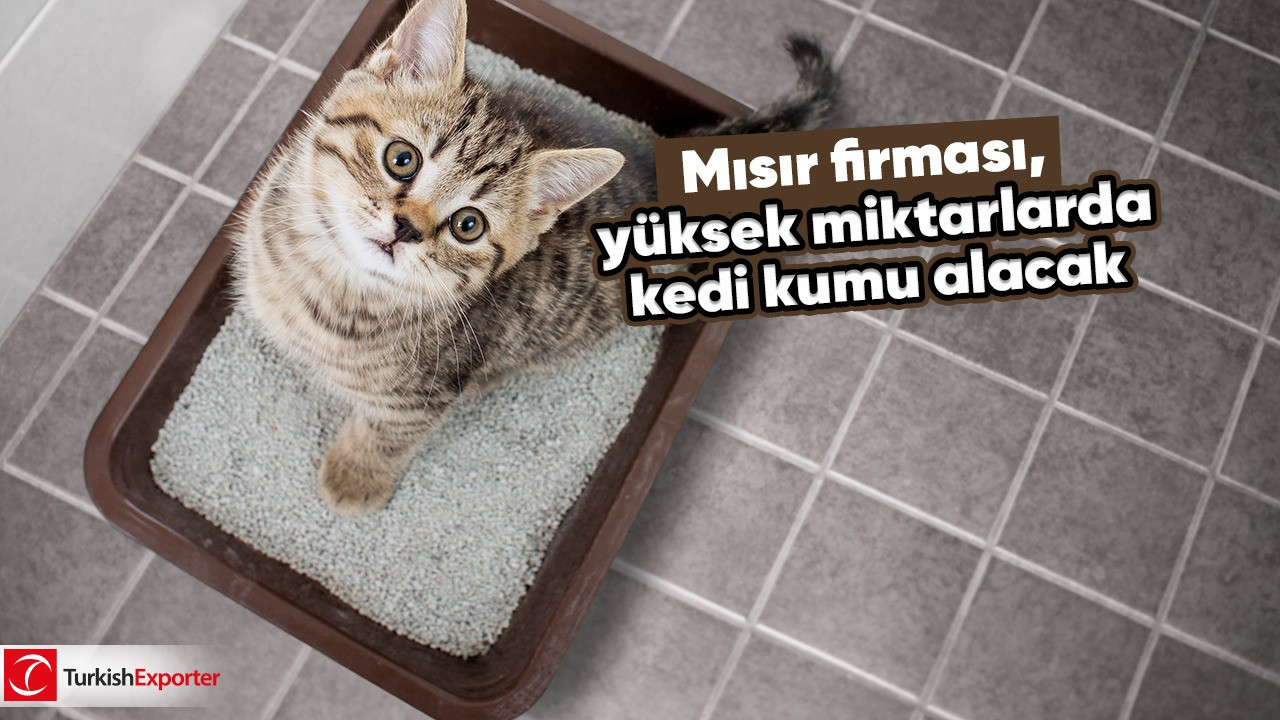 Mısır firması, yüksek miktarlarda kedi kumu alacak