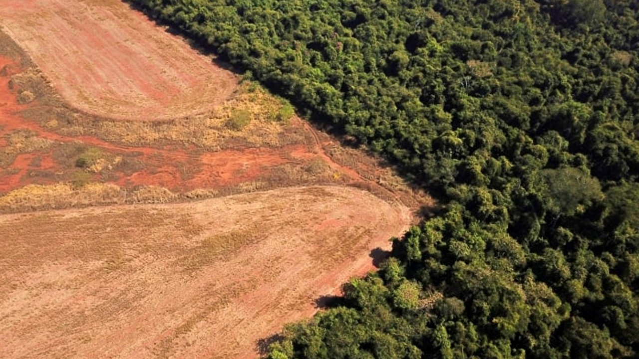 Amazonlarındaki kuraklık tehlikesi 500 bin kişiyi olumsuz etkileyebilir