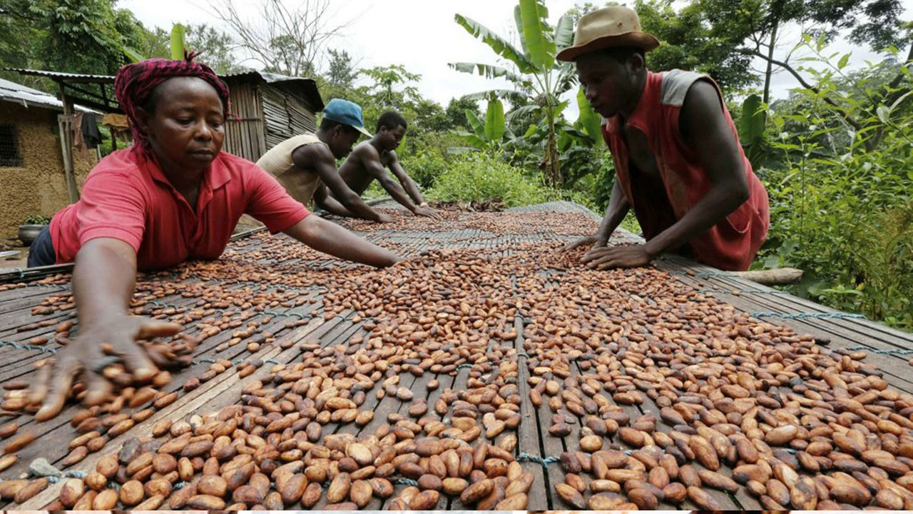 Artan kakao fiyatları ihracatçıların gündeminde