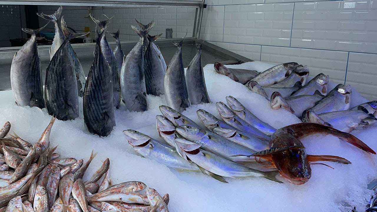 Ekosistem dengesi için gargur balığı tüketilecek