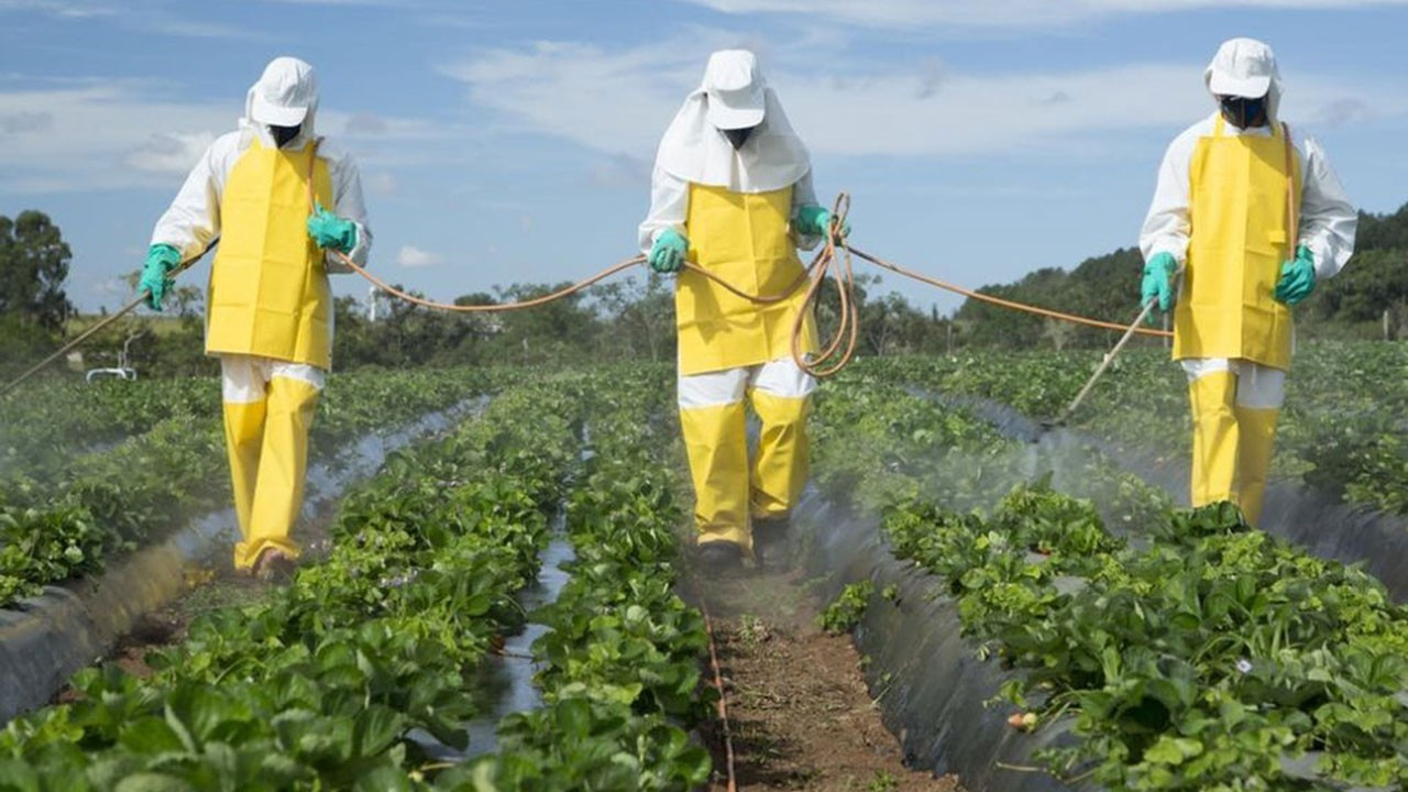 Türkiye’de tarım pestisitlerin yarısı 5 ilde kullanılıyor