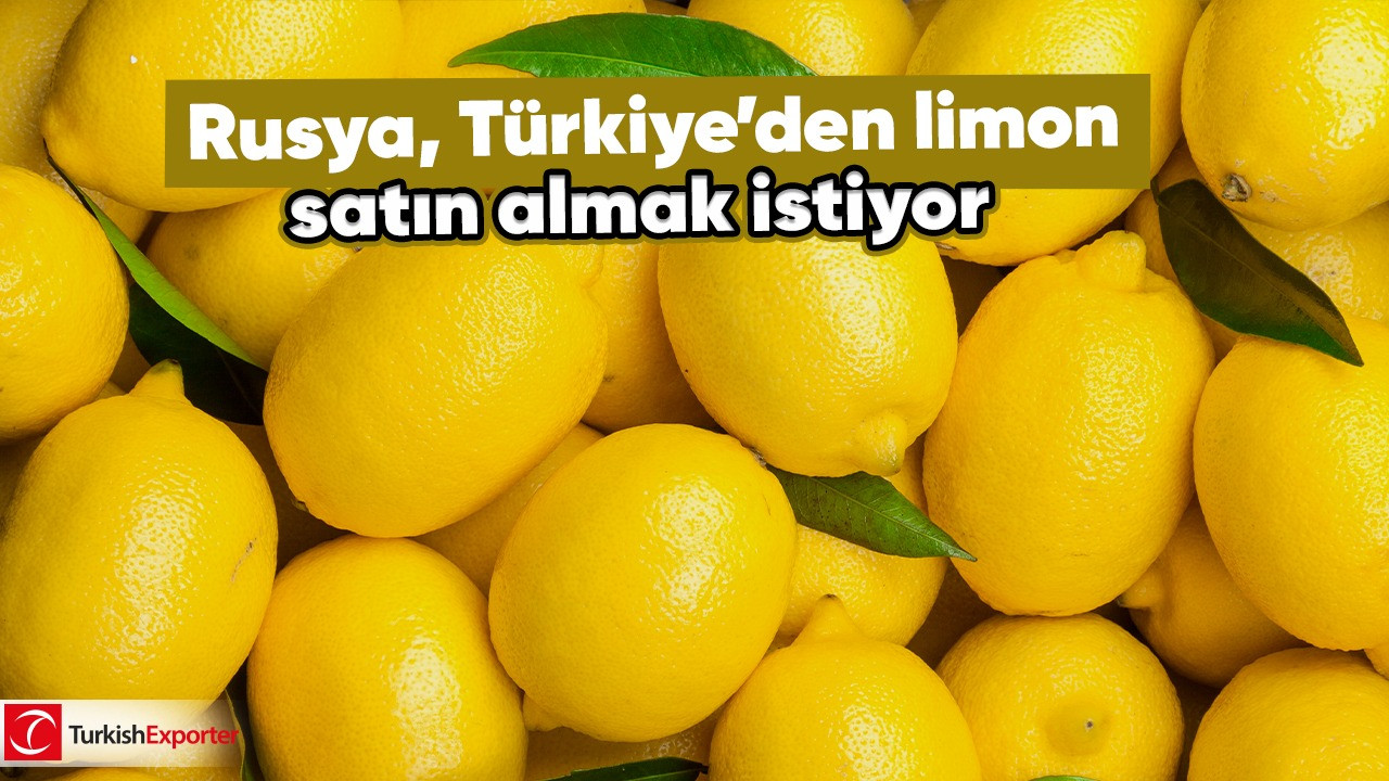 Rusya, Türkiye’den limon satın almak istiyor