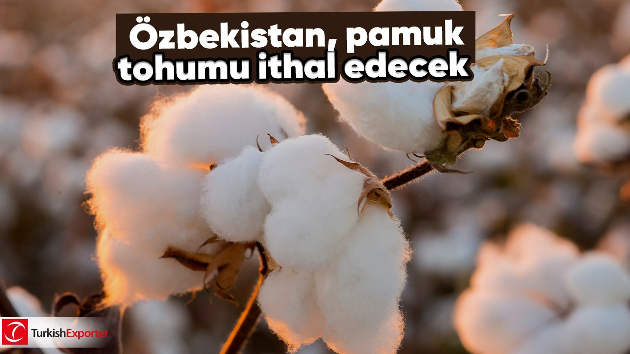 Özbekistan, pamuk tohumu ithal edecek