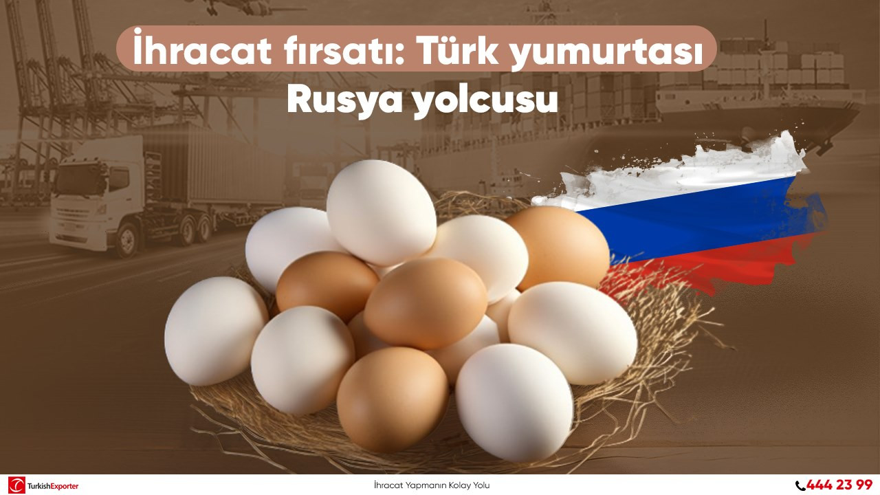 İhracat fırsatı: Türk yumurtası Rusya yolcusu