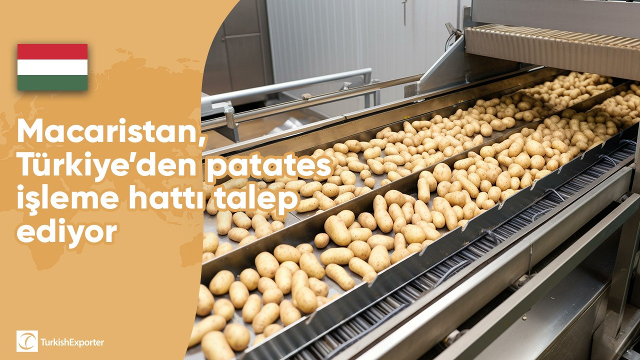 Macaristan, Türkiye’den patates işleme hattı talep ediyor