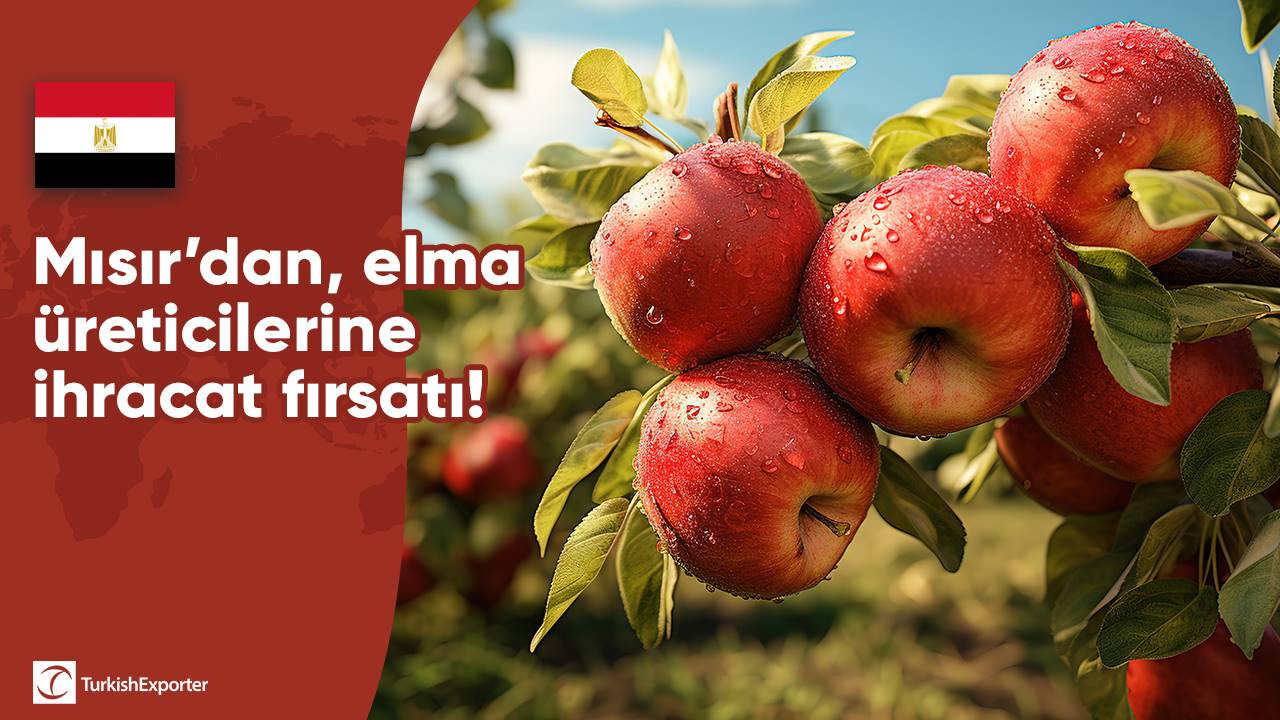 Mısır’dan, elma üreticilerine ihracat fırsatı!