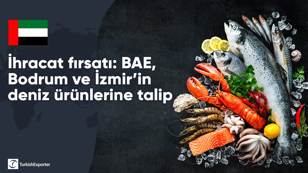 İhracat fırsatı: BAE, Bodrum ve İzmir’in deniz ürünlerine talip
