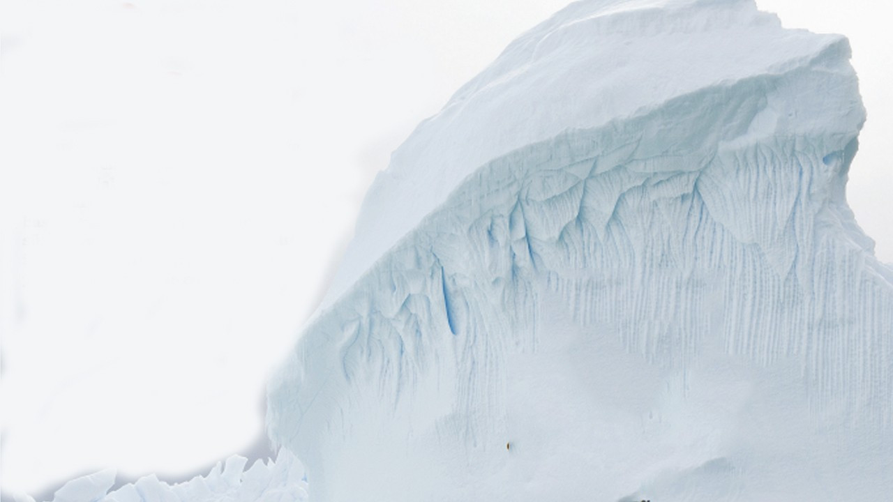 Thwaites Buzulu erirse deniz seviyesi 65 cm yükselebilir