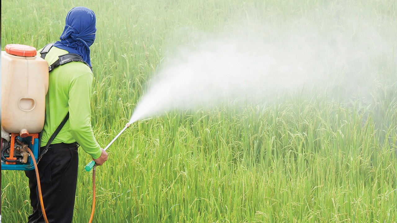 Robotlar pestisit kullanımını yüzde 50 azaltabilir