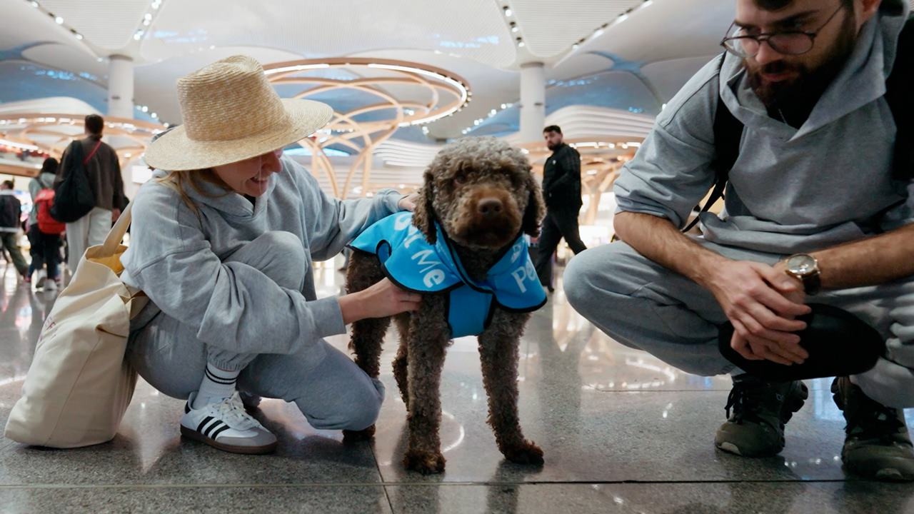 İstanbul Havalimanı'nda uçuş stresine köpekli önlem!