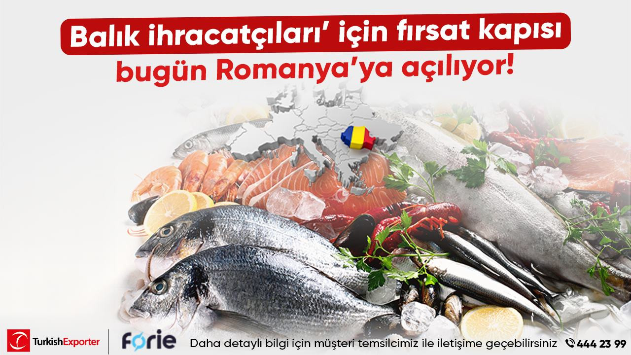 ‘Balık ihracatçıları’ için fırsat kapısı bugün Romanya’ya açılıyor!