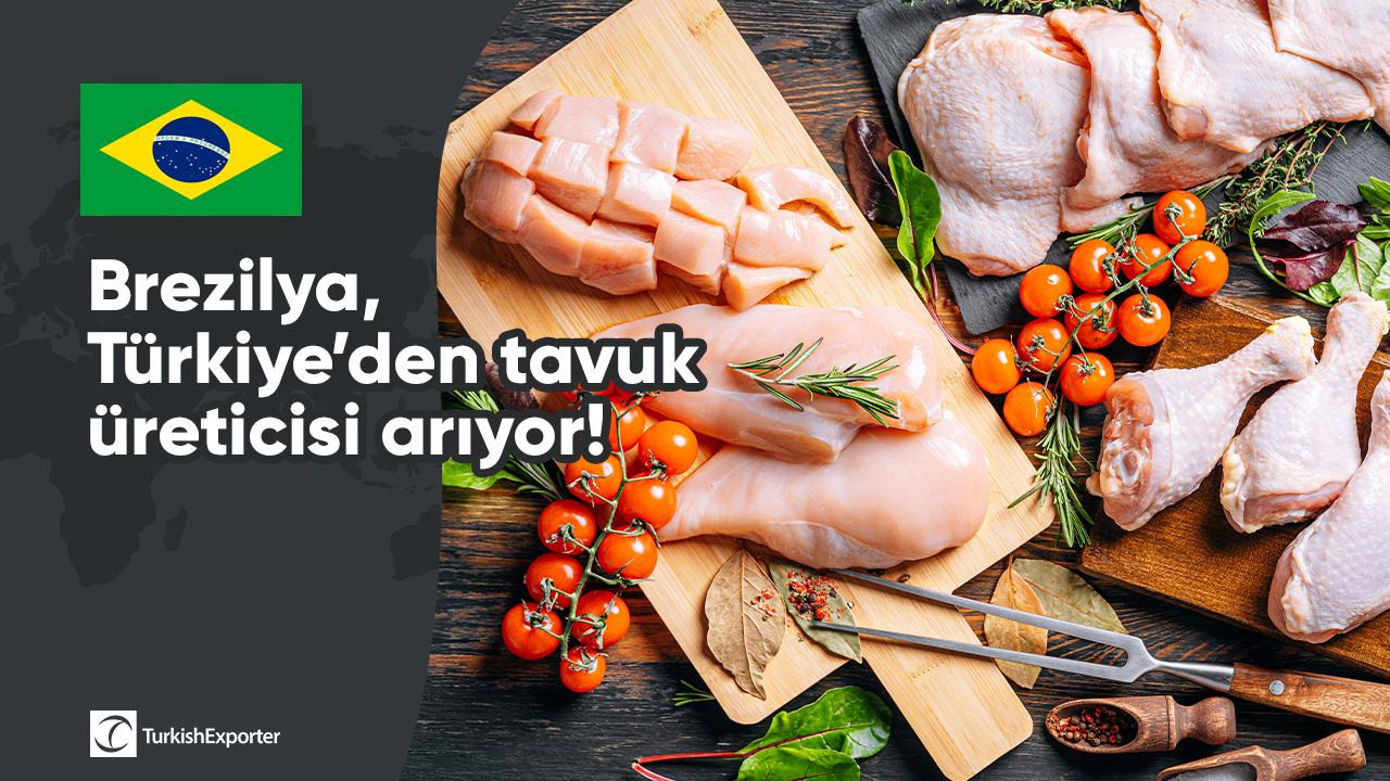 Brezilya, Türkiye’den tavuk üreticisi arıyor!