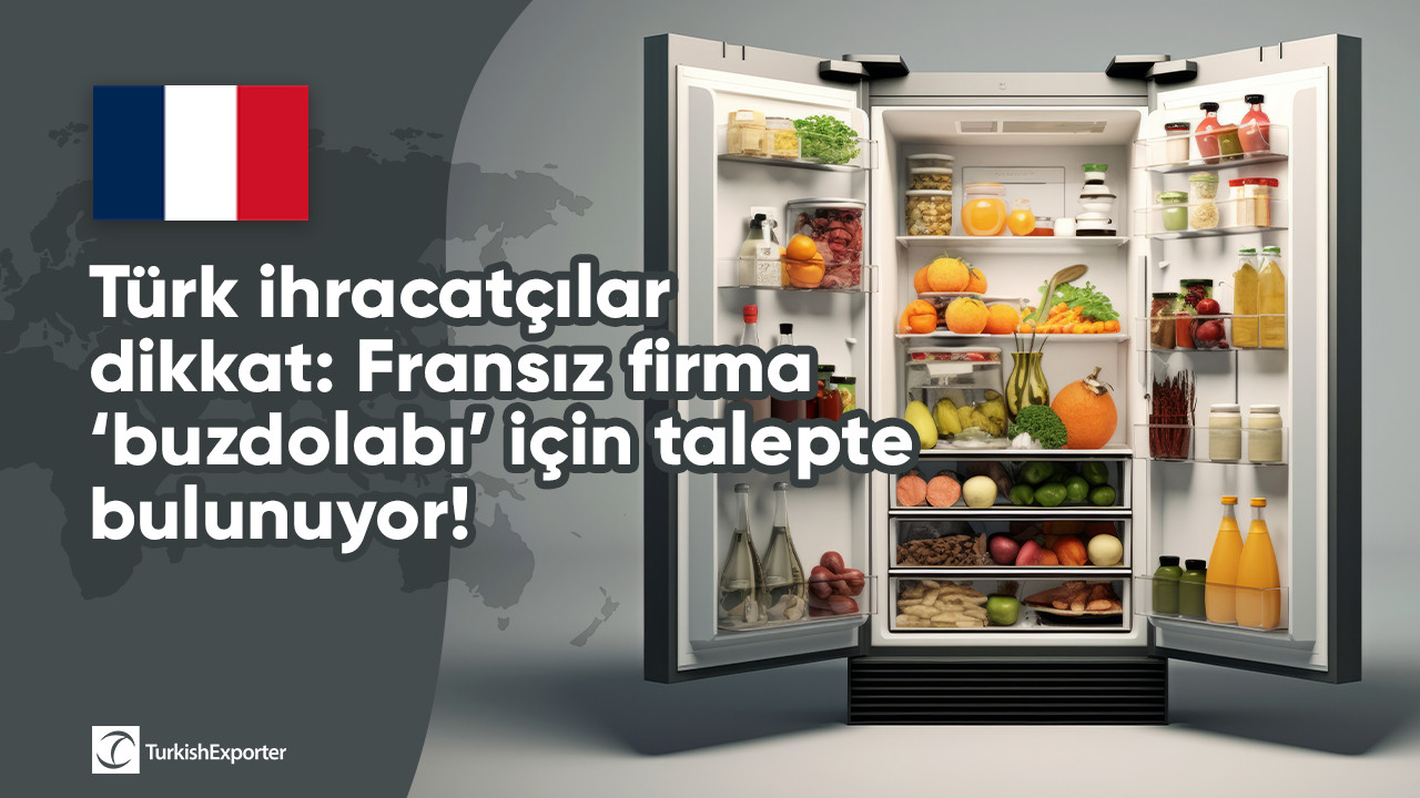 Türk ihracatçılar dikkat: Fransız firma ‘buzdolabı’ için talepte bulunuyor!