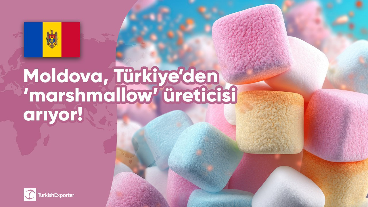 Moldova, Türkiye’den ‘marshmallow’ üreticisi arıyor!
