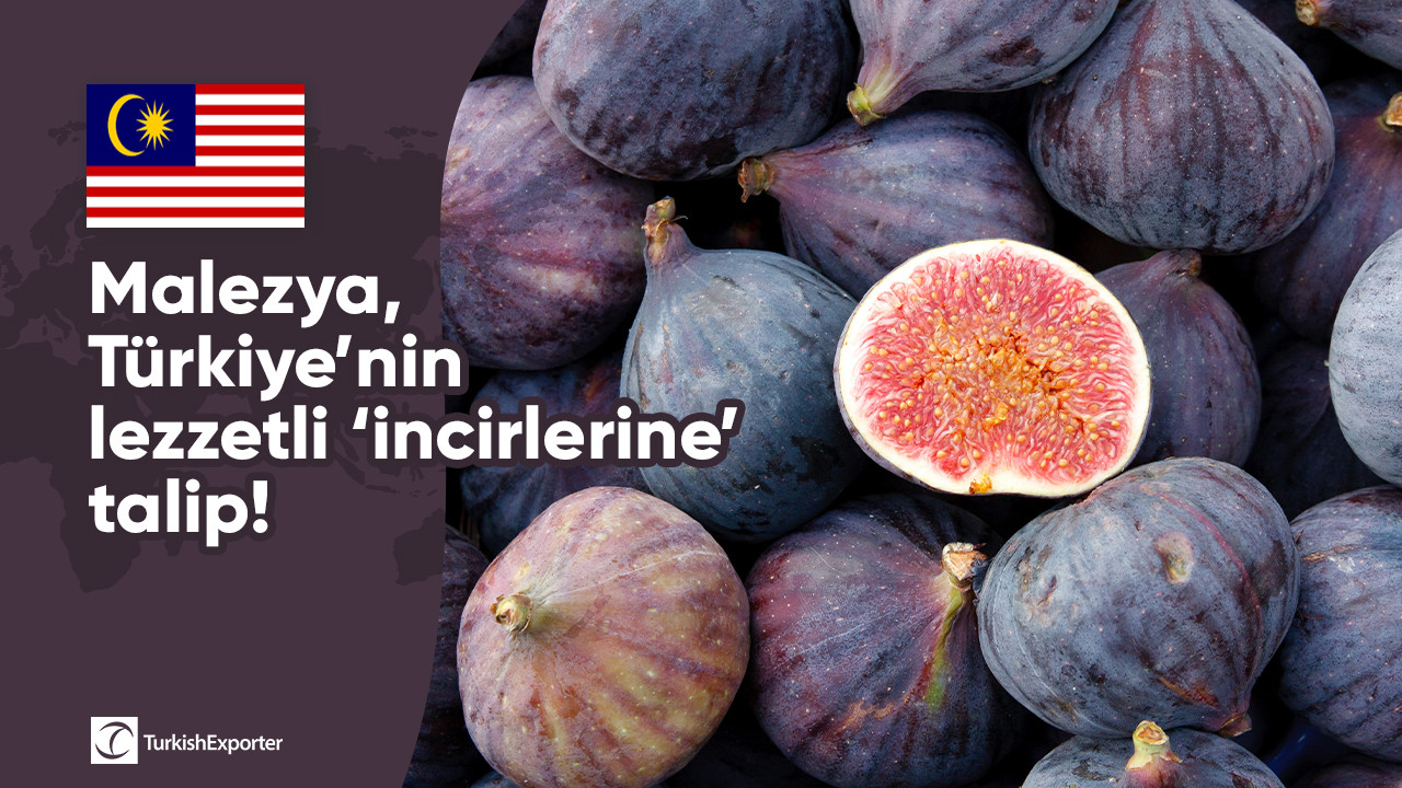 Malezya, Türkiye’nin lezzetli ‘incirlerine’ talip!