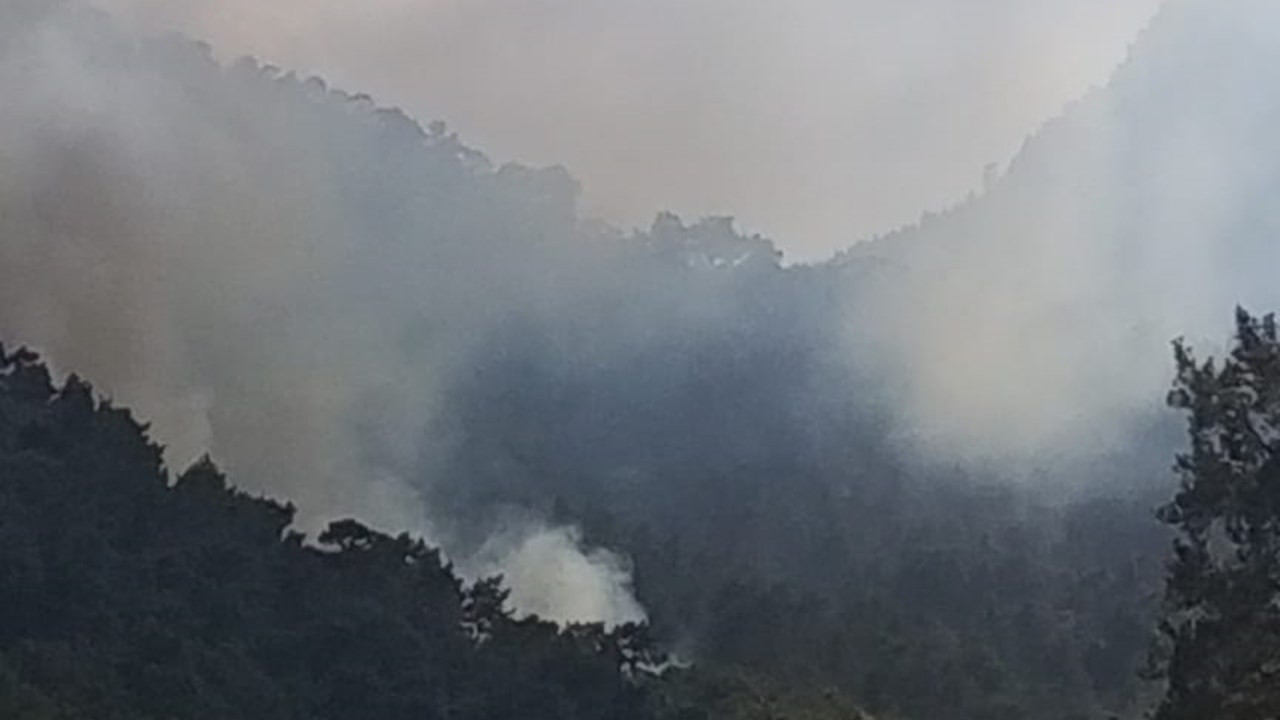 Son dakika... Antalya Kemer'de orman yangını!