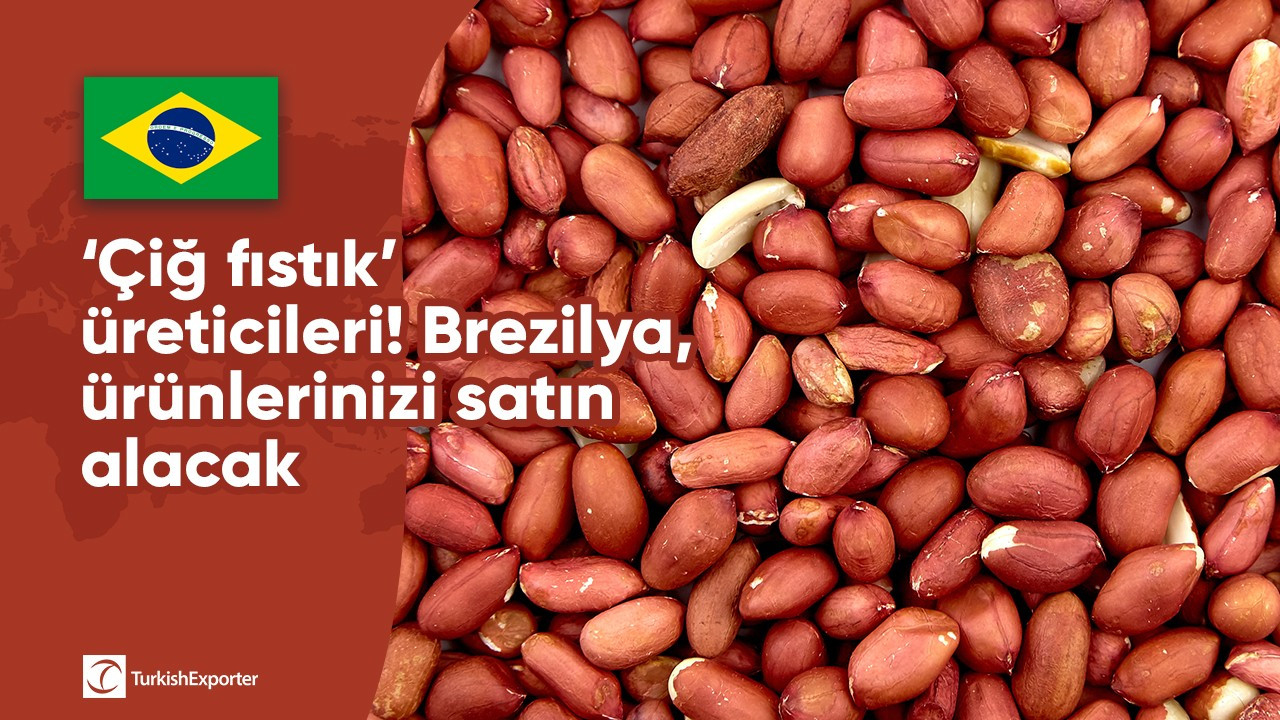 ‘Çiğ fıstık’ üreticileri! Brezilya, ürünlerinizi satın alacak