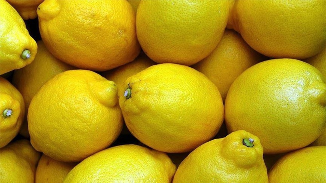 Bulgaristan geri çevirmişti: Yasaklı madde tespit edilen limonlara soruşturma