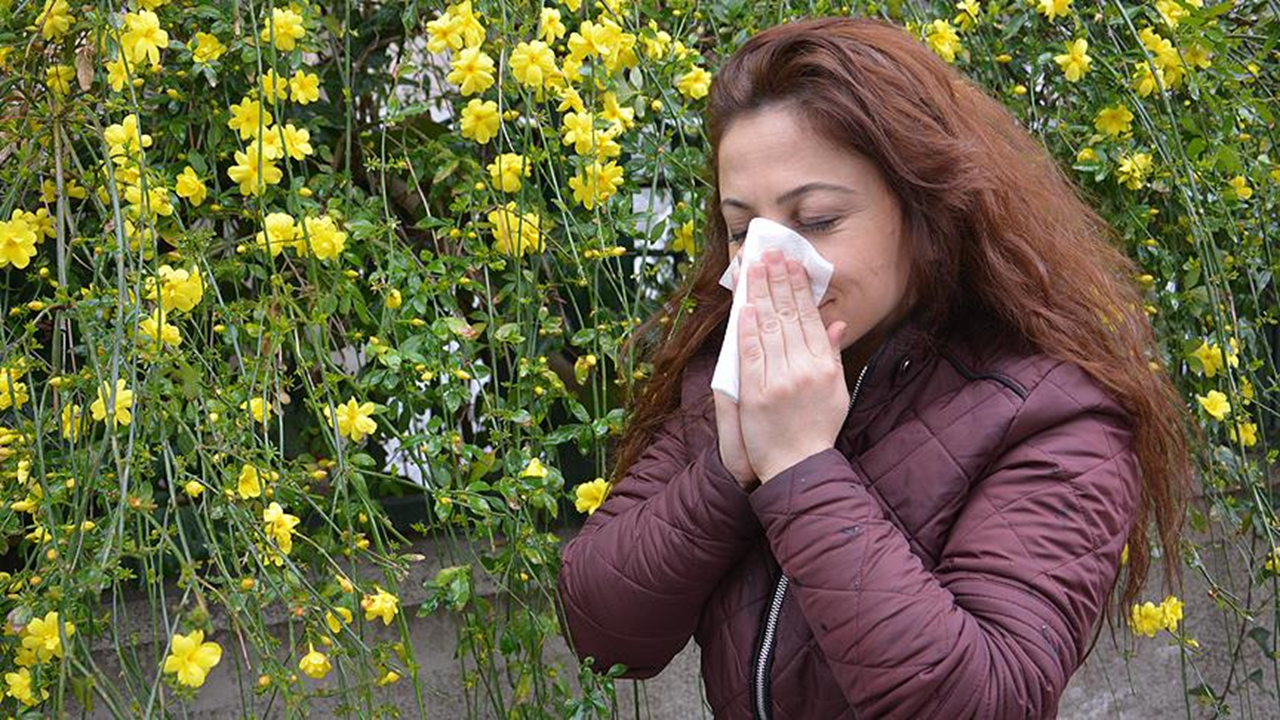 Uzmanından mevsimsel alerjilere karşı uyarı