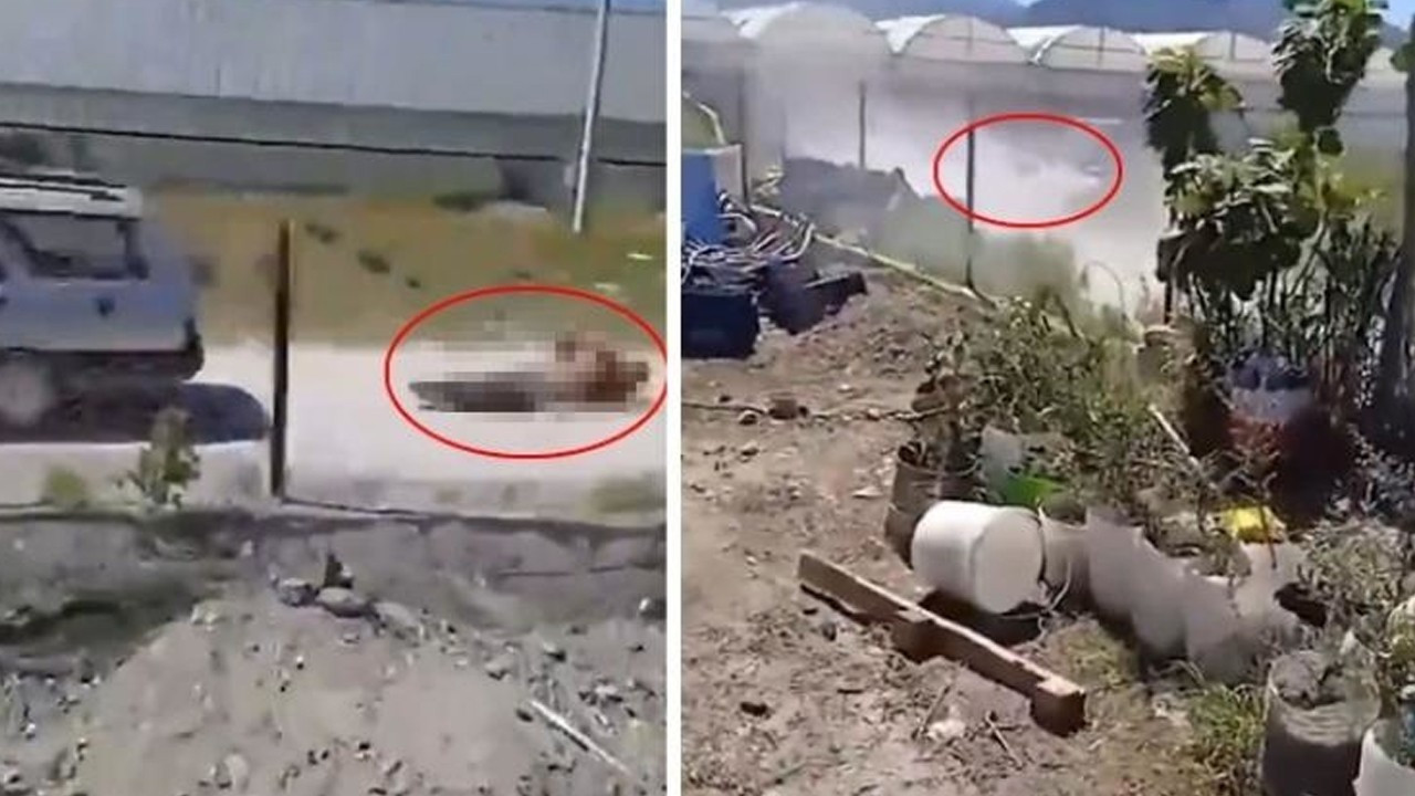 Antalya'da dehşet... Köpeğine zarar veren adamı metrelerce sürükledi