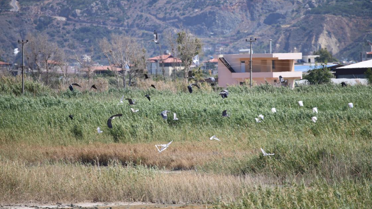 Hatay'da arazi toplulaştırma ve tarla içi geliştirme yapılacak