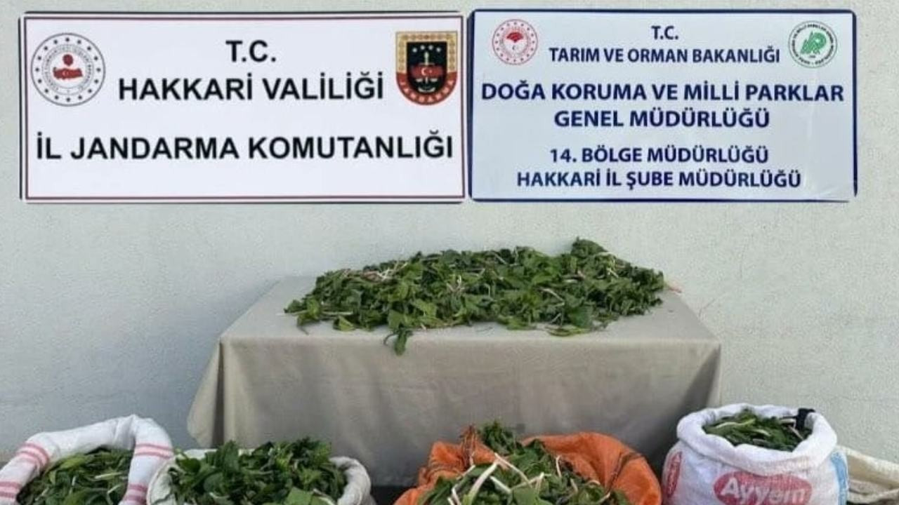 Soğanları kaçırmak isterken yakalandılar: 1 milyon TL ceza verildi