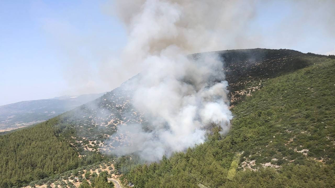 Milas'ta orman yangını çıktı