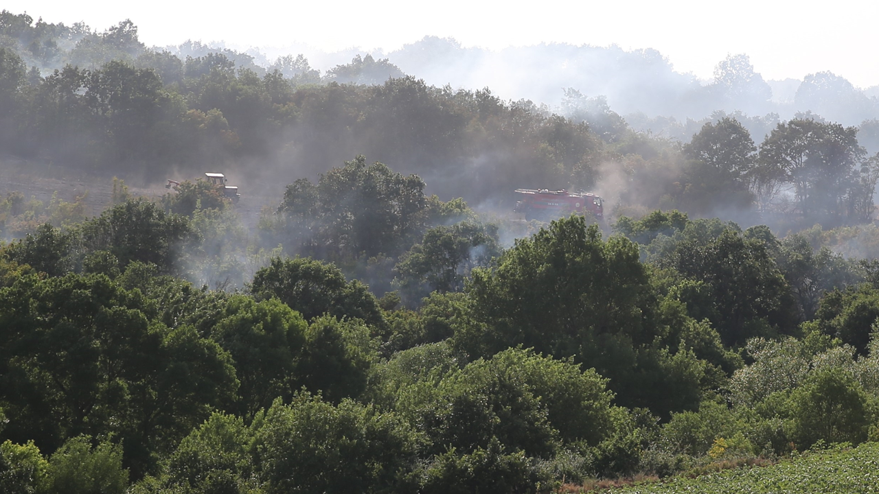 Sınır hattındaki yangın tarım alanına zarar verdi