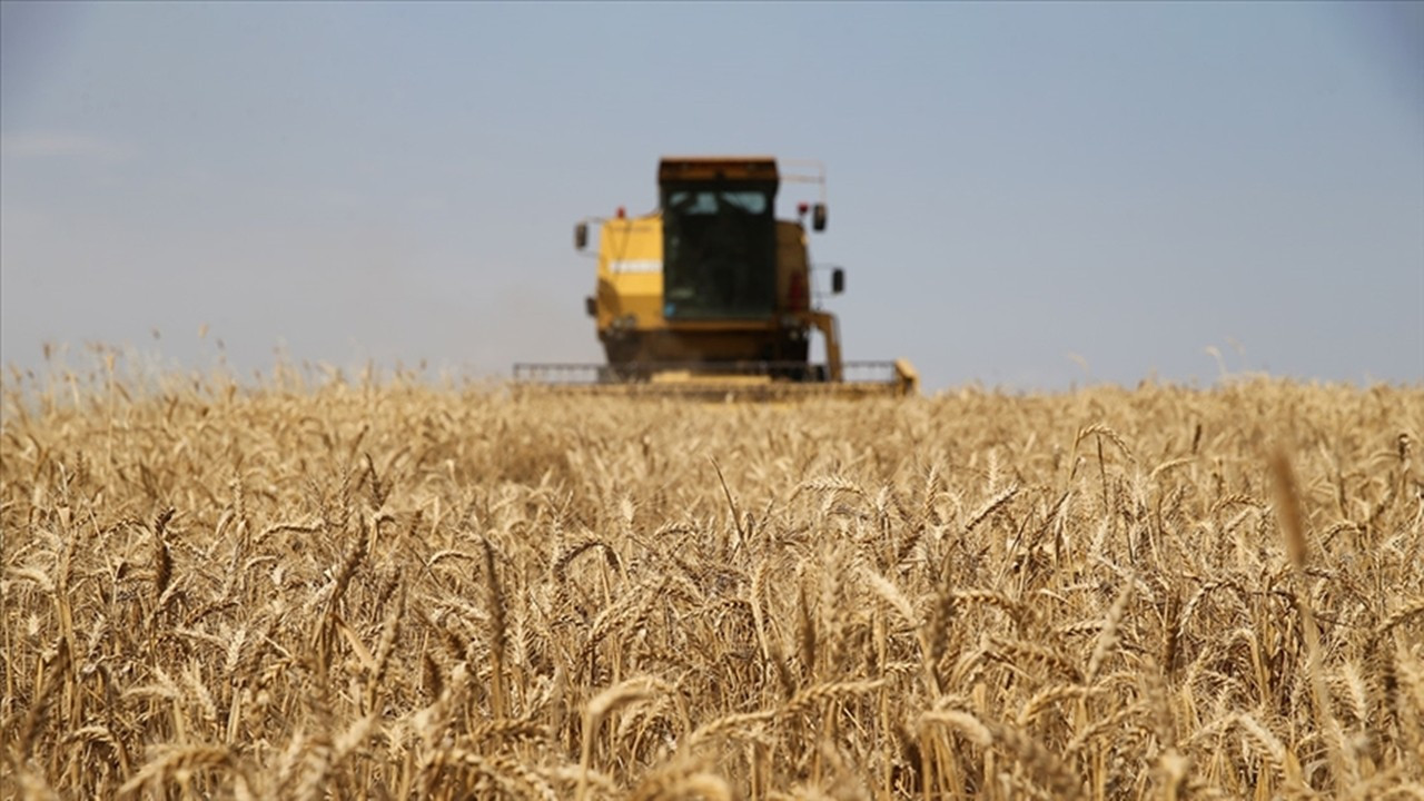 Çiftçilere müjde: Tarımsal destekleme ödemesi hesaplar yatırıldı
