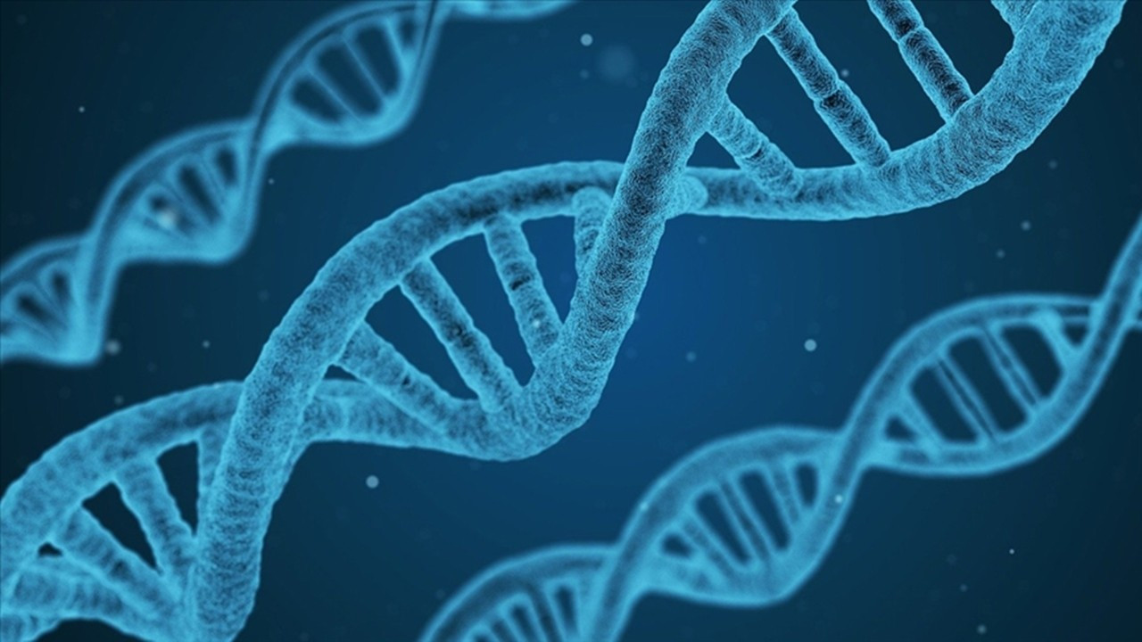 DNA teknolojisi yardımcı oldu: Üç kardeş 70 yıl sonra kavuştu