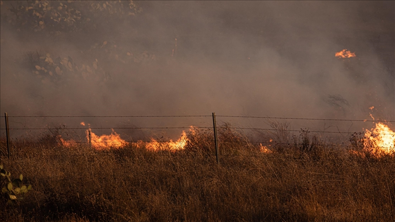Los Angeles'taki yangın nedeniyle 1200 kişi tahliye edildi