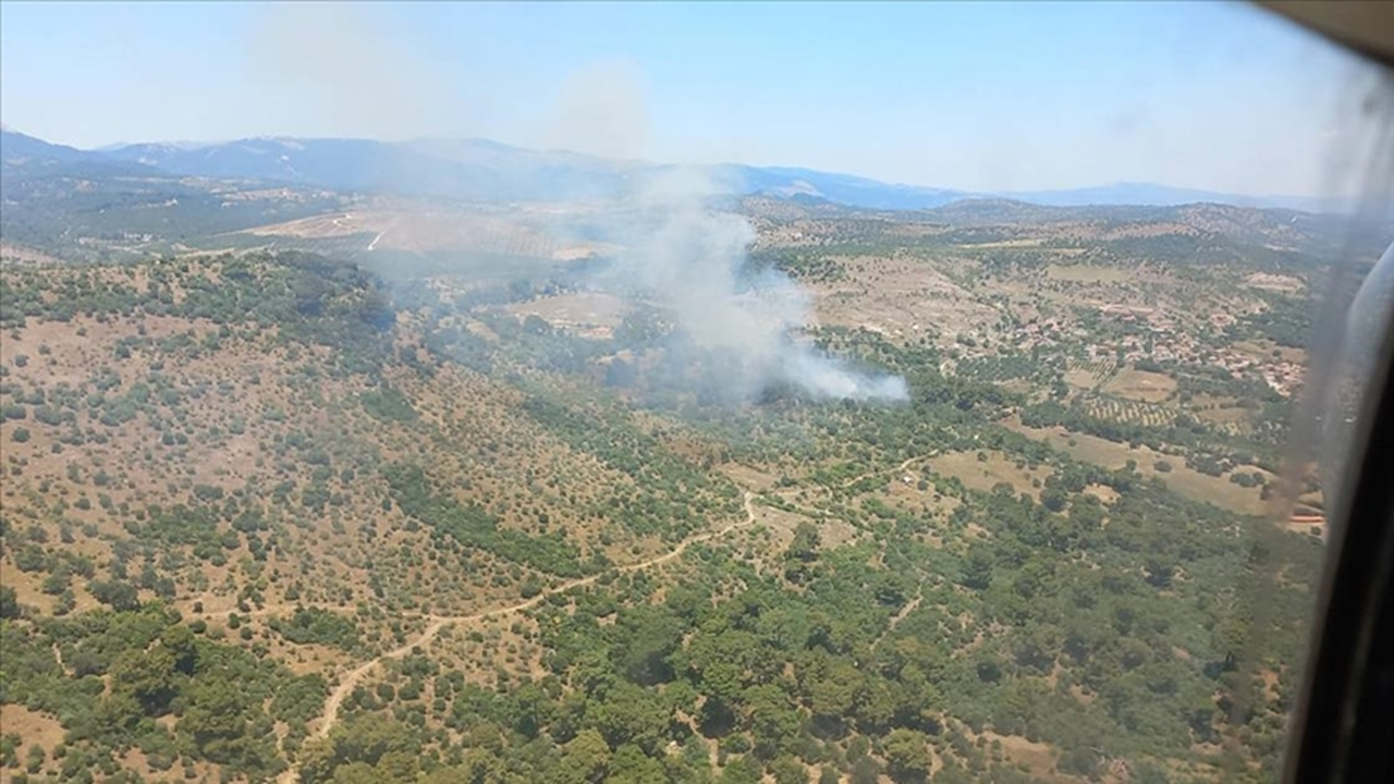 İzmir'in Buca, Çiğli ve Aliağa ilçelerinde yangın