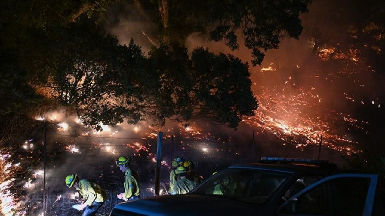 ABD'de orman yangınları: OHAL ilan edildi
